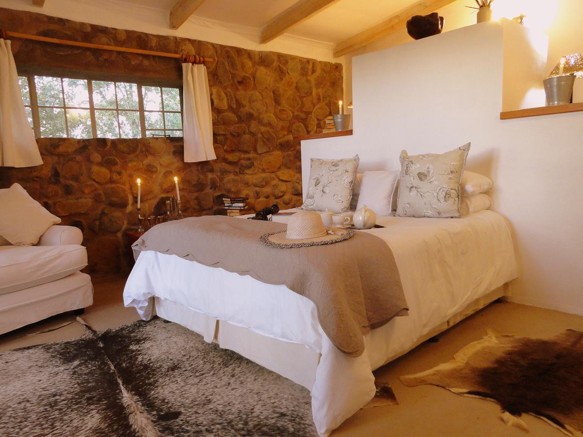 Amohela Ho Spitskop Country Retreat & Conservancy 菲克斯堡 外观 照片