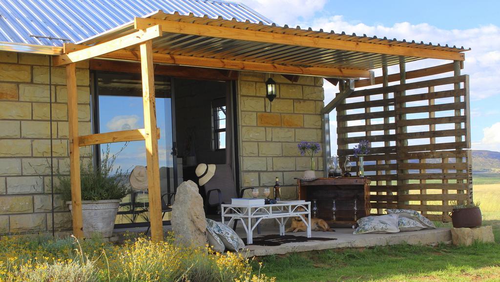 Amohela Ho Spitskop Country Retreat & Conservancy 菲克斯堡 外观 照片