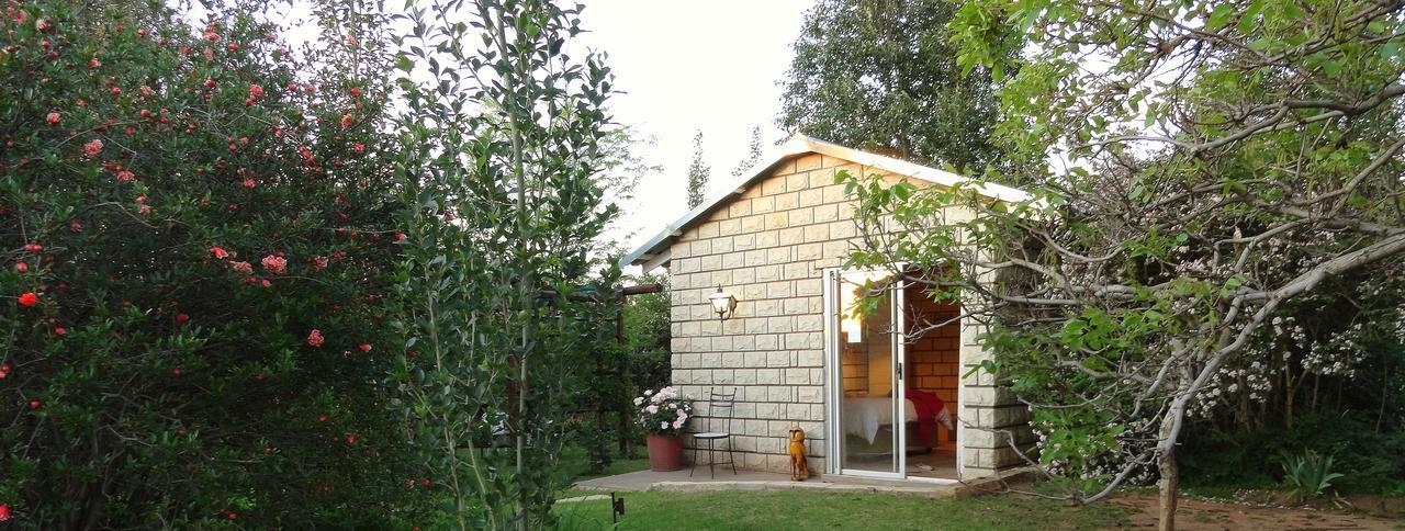 Amohela Ho Spitskop Country Retreat & Conservancy 菲克斯堡 外观 照片